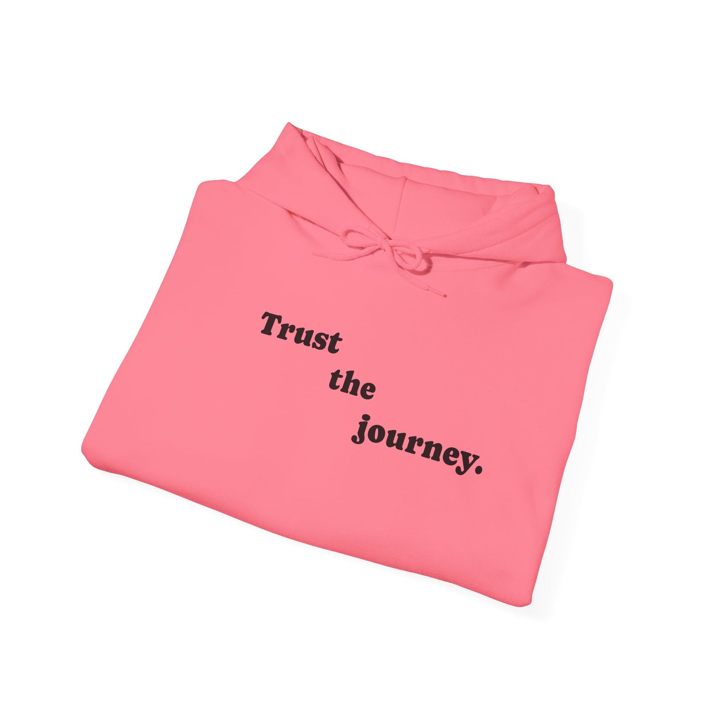 Trust The Journey Hoodie